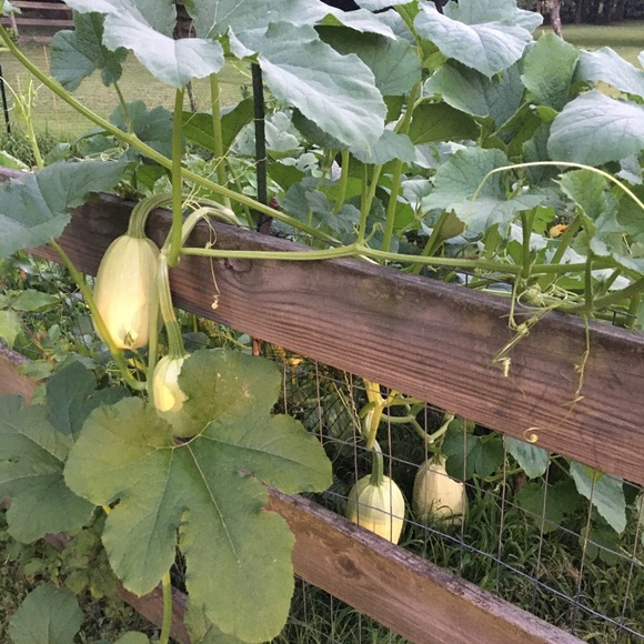 Meet your Posher, Janet - Picture 13 of 16